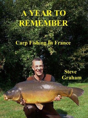 cover image of A Year to Remember